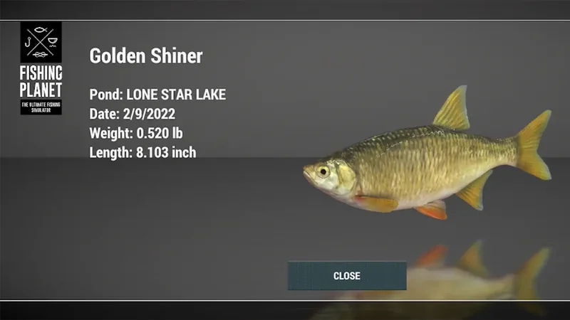 Ficha de captura do Fishing Planet com um peixe dourado, lago, data, peso e comprimento