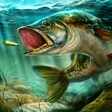 Ícone do jogo Ultimate Fishing Simulator